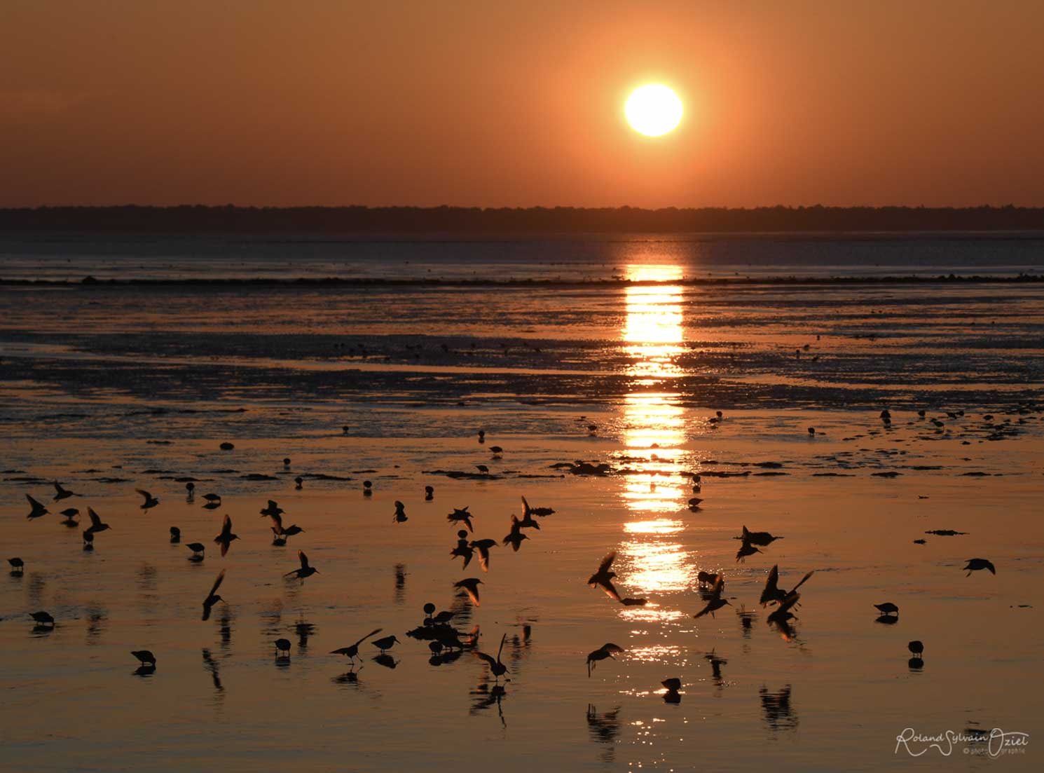 Coucher du soleil sur le passage du gois