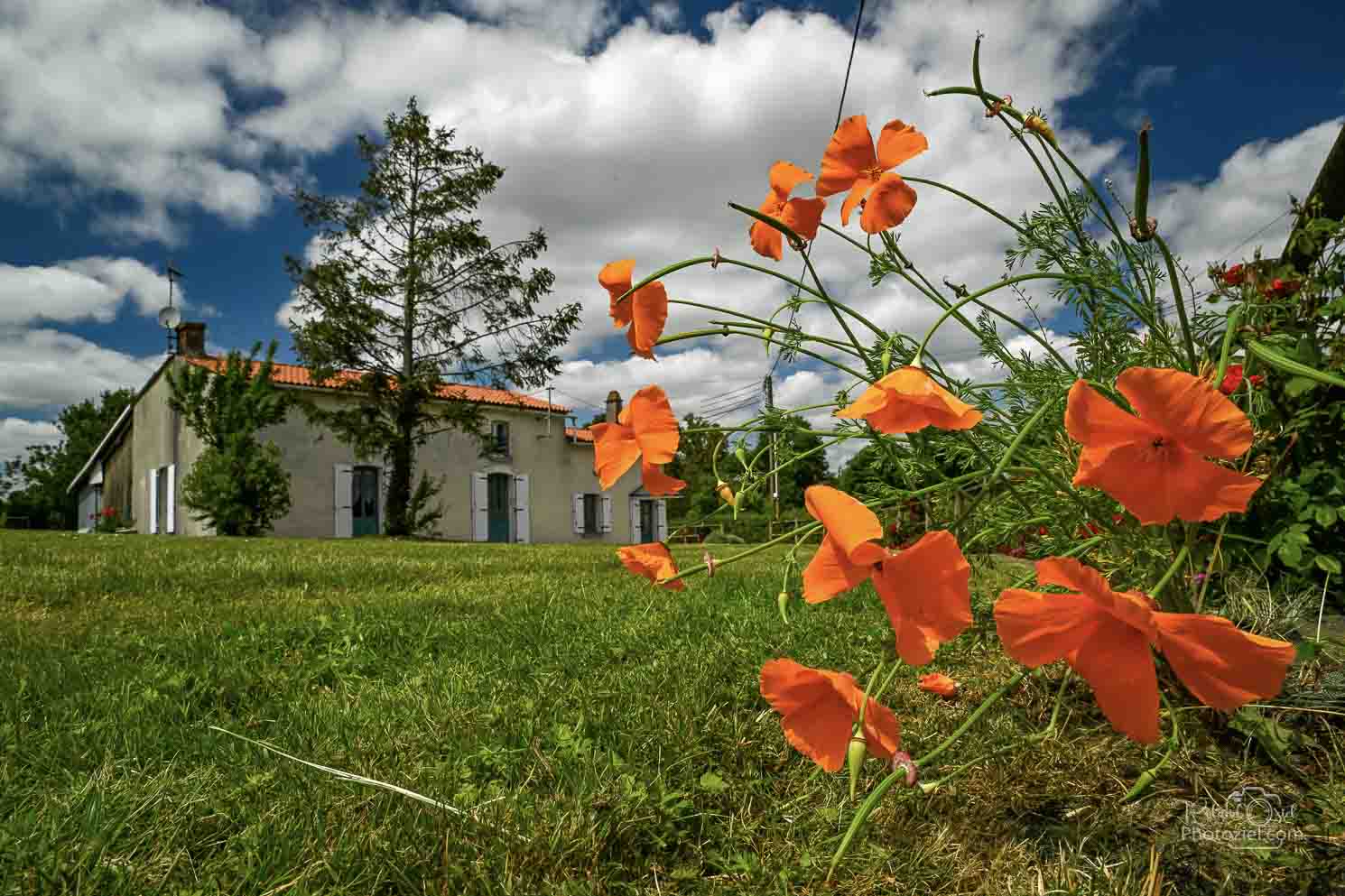 Gite 5 à 6 personnes dans la campagne avec jardin fleuri