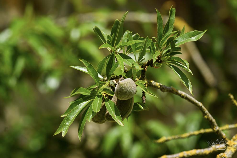 Gite 5 à 6 personnes dans la campagne avec jardin fleuri