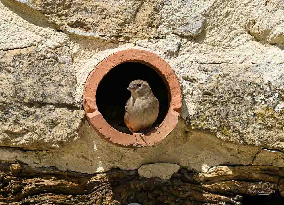 Gite 5 à 6 personnes dans la campagne avec jardin fleuri