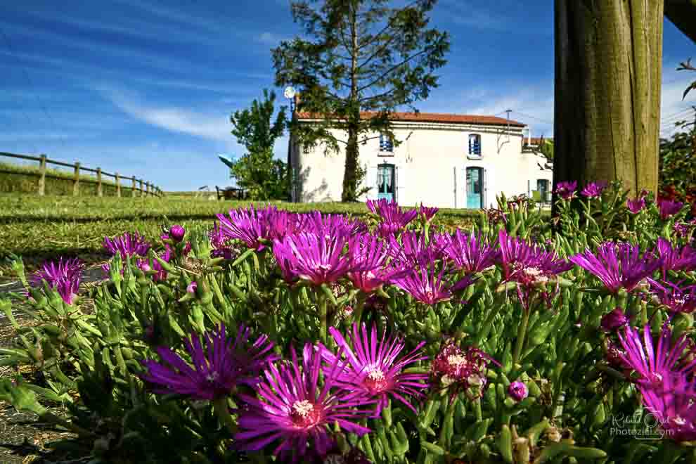 Gite 5 à 6 personnes dans la campagne avec jardin fleuri