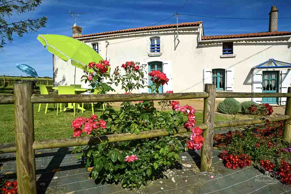 Gîte rural les Rosiers en Vendée au calme