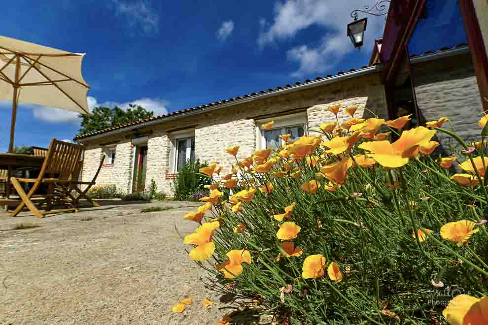 Gite 6 personnes dans la campagne avec jardin fleuri