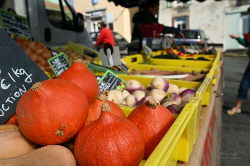 Dates des marchés à sainte cécile en Vendée