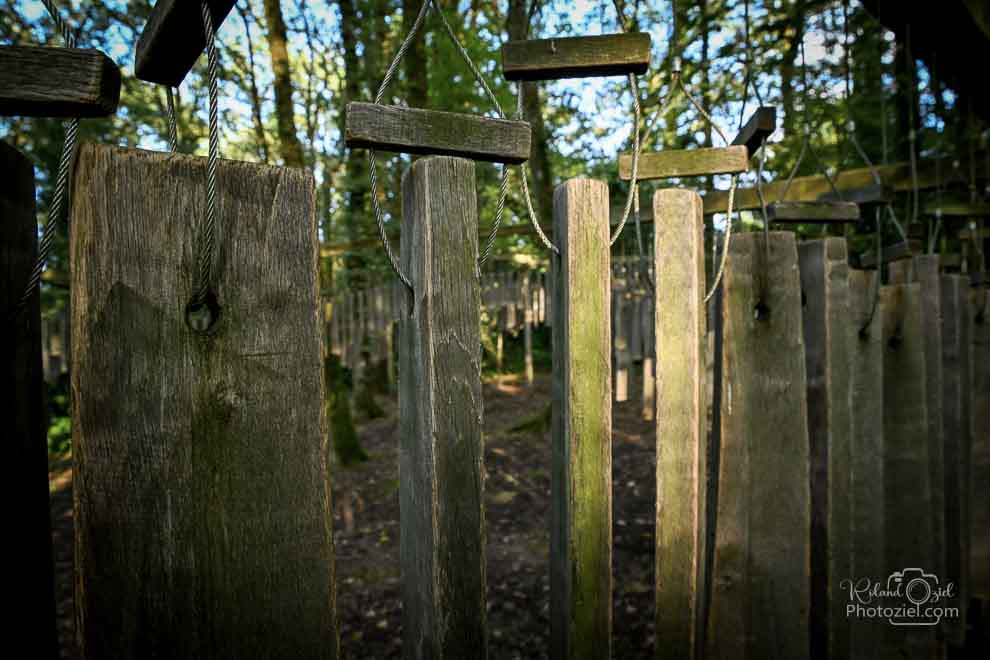 Sentier d&apos;Amanéa instrument de musique