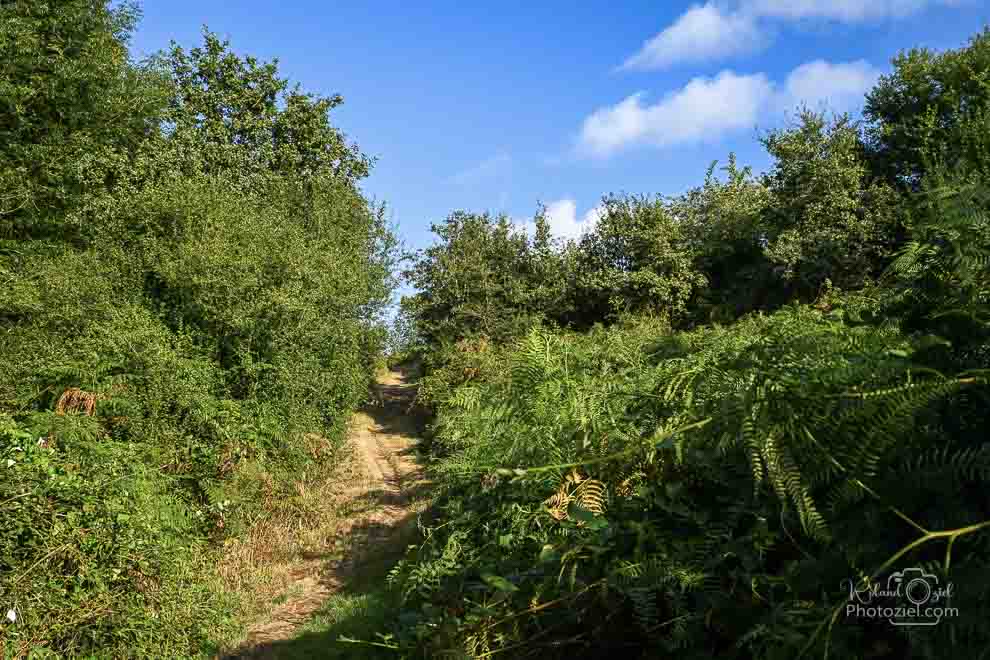 Sentier d&apos;Amanéa le parcours