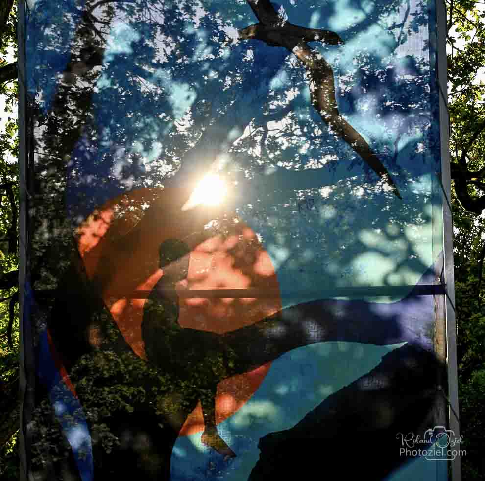 Sentier d&apos;Amanéa toile peinte et tendue dans les arbres